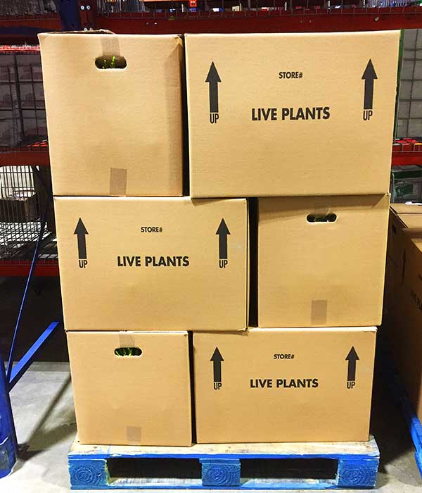 Ships Supplies